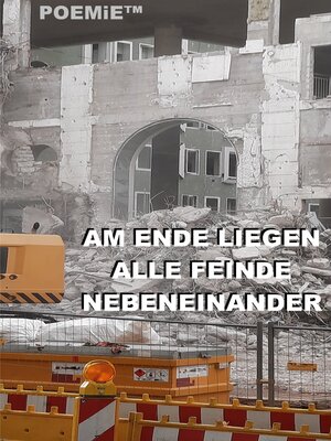 cover image of Am Ende liegen alle Feinde nebeneinander